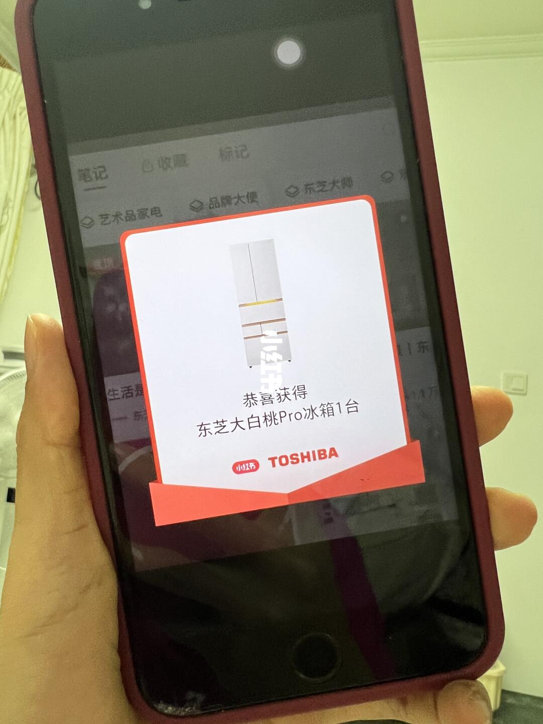 掉掉掉！东芝大白桃冰箱1174份！！！