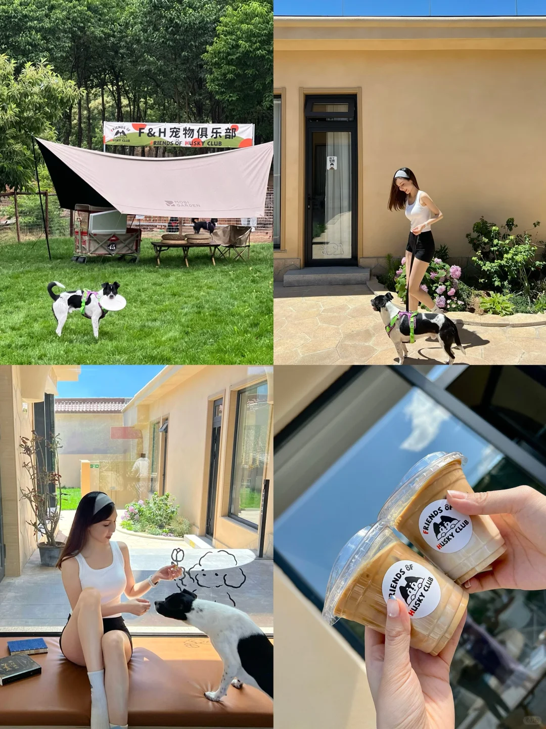 北京宠物酒店｜夏日沉浸式撸狗大会！