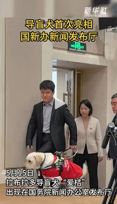 国新办新闻发布厅第一次迎来了特殊的 "参会者"。

5 月 15 日下午，一只穿
