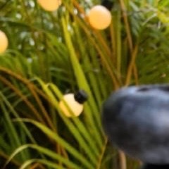 阳光信用 每日‎一善 善良是一种美德，善良是一种远见，善良是一种自信，善良是一种