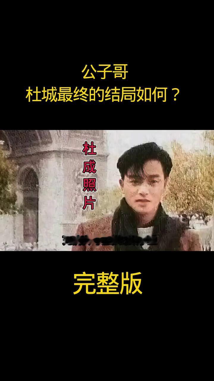 杜城最终的结局如何？杜成照片完整版。
公子哥。
在戴哥那跌宕起伏，充满传奇色彩的