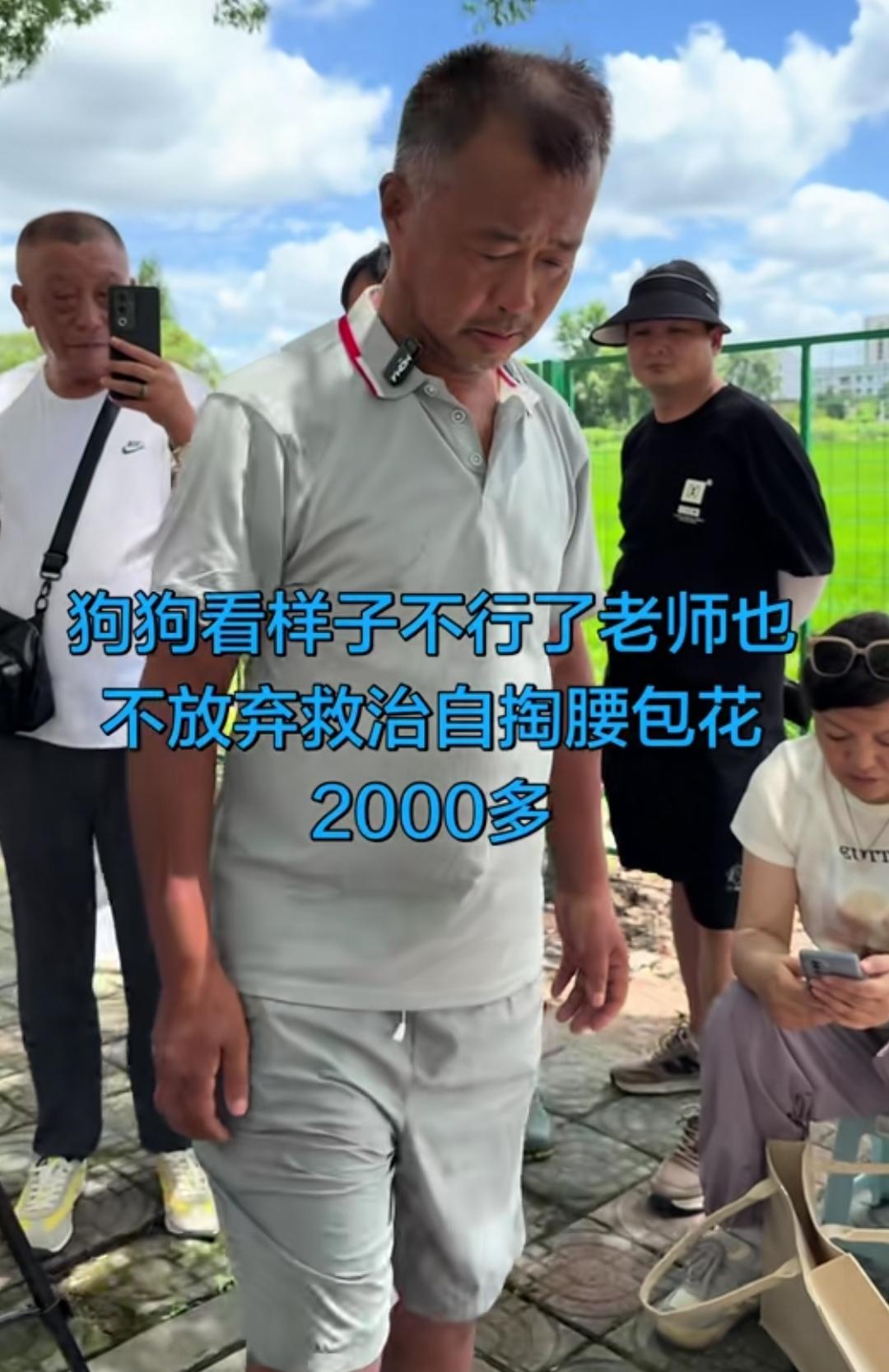 沈巍愿意救助被撞的流浪狗，那么他会不会扶摔倒的老人呢？
沈巍是特别善良的，他经常