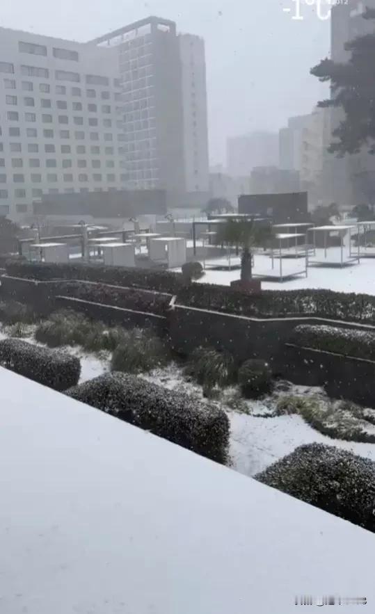 今天的韩国济州大雪纷飞，昨天河南被进的那个球是点球。

今天(4日)中午，韩国济