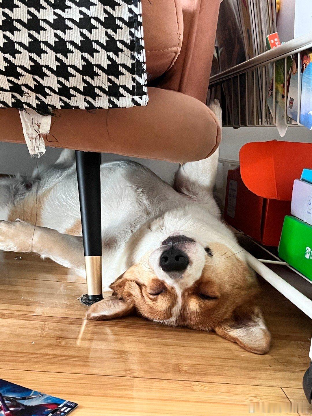 这是多快活才会睡成这样还在打呼[哈哈][哈哈] ​​​