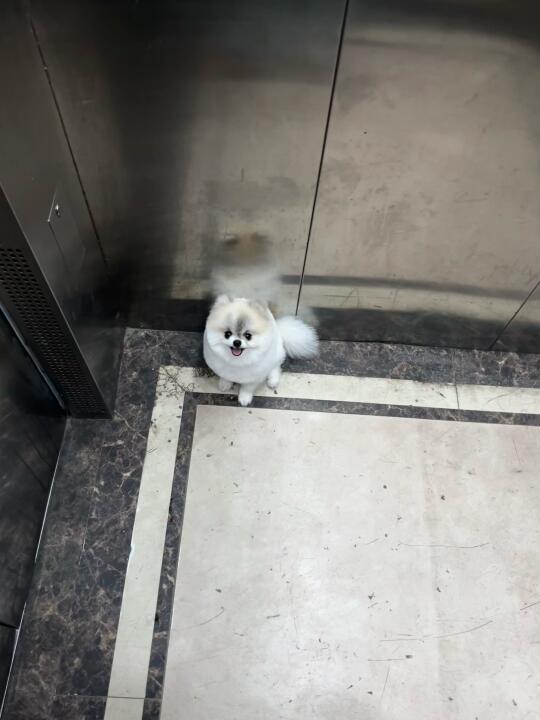 这种“小鼻嘎”到底谁生的！！！