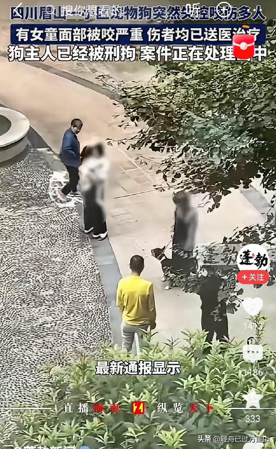被咬伤的3岁女童母亲发声了，女儿已经做了手术，暂无生命危险，但是面部创伤严重，手
