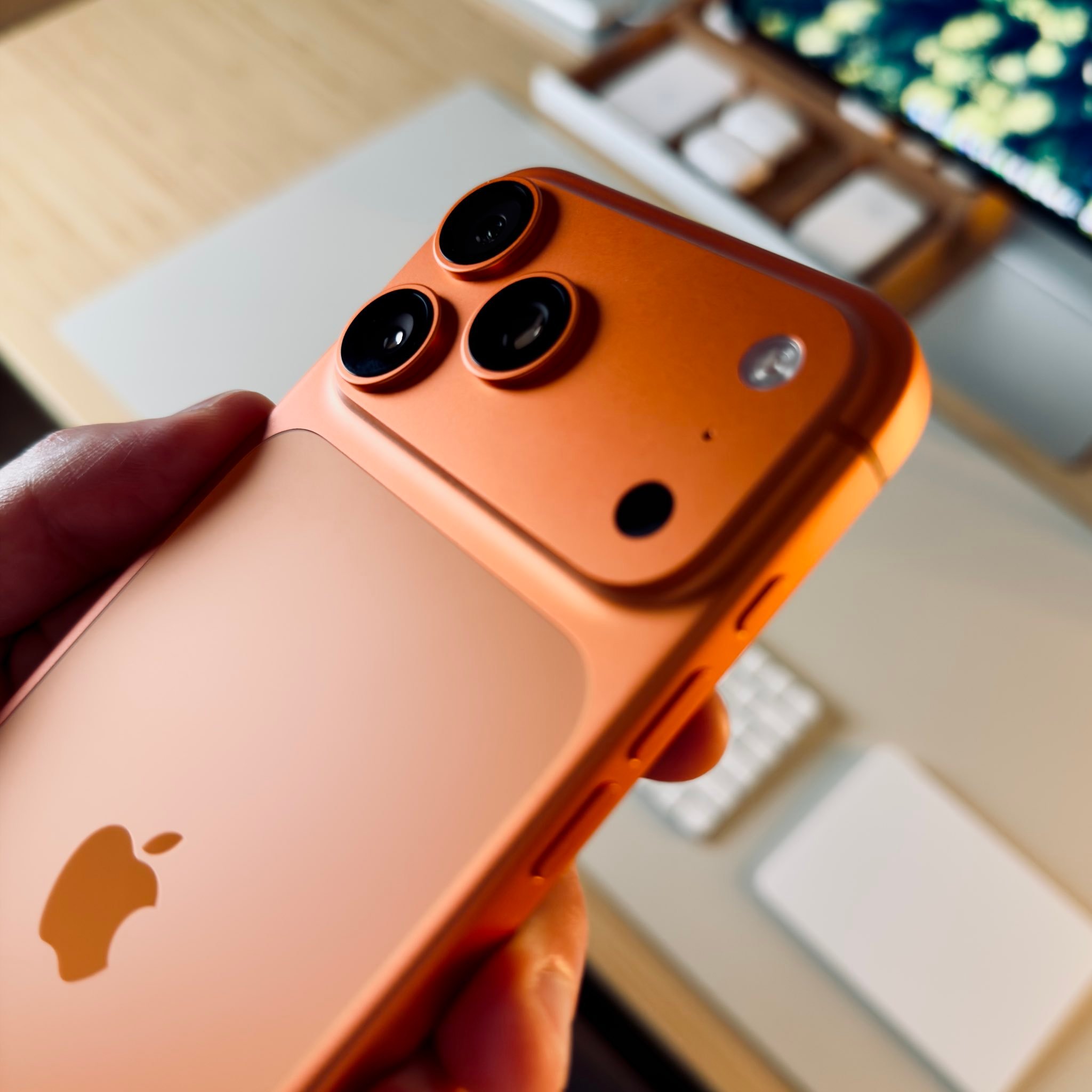 一个多月了，星宇橙看腻了吗？我怎么觉得愈莱愈有味道了？（但是我还是觉得自己Hol