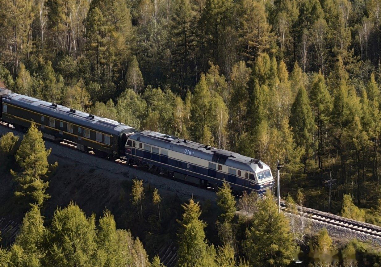 2025年为乙巳年，岁运为金运不及，金衰则木亢，木火刑金，肺卫不固，易感外邪。现