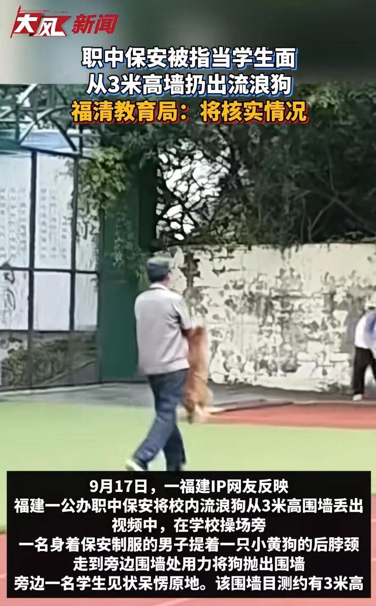 就在这场引发众怒的事件背后，我们看到的，或许不仅仅是一只流浪狗的遭遇，更是一面折