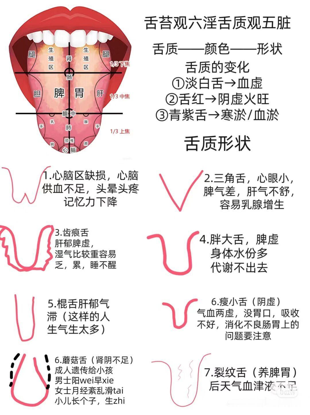 中医舌诊分析，对照看看你能从自己的舌头上面，发现什么问题