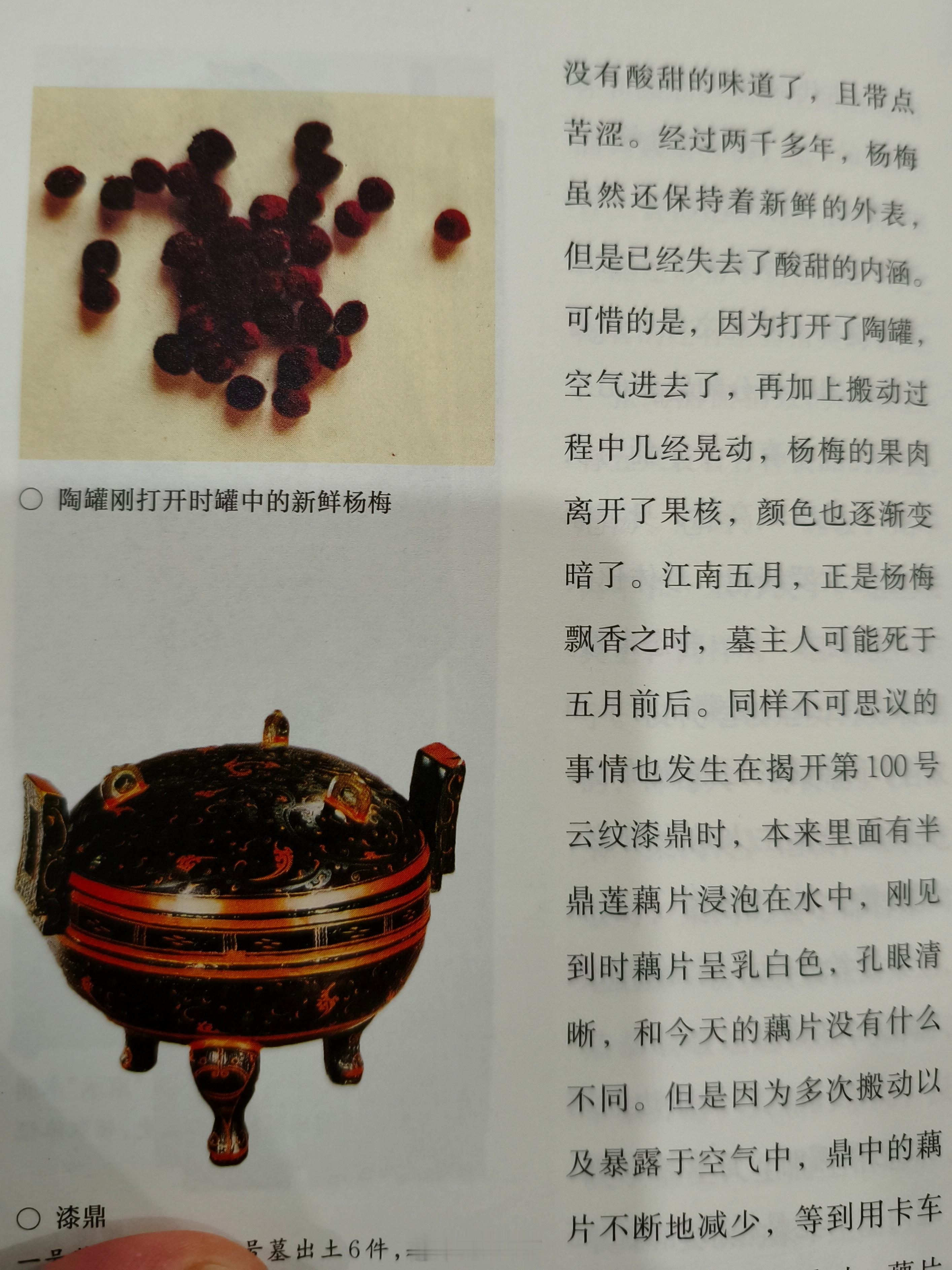 马王堆汉墓当年出土的时候，有工作人员在一个陶罐中发现了杨梅，他竟然忍不住尝了一口