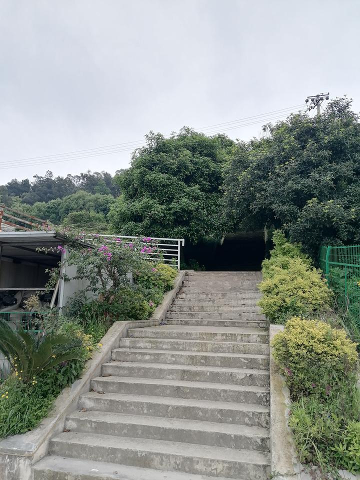 遗嘱掀开豪门暗战：一纸遗书，为何百万家产难落地？

“我爸遗嘱写了房子归我，凭什