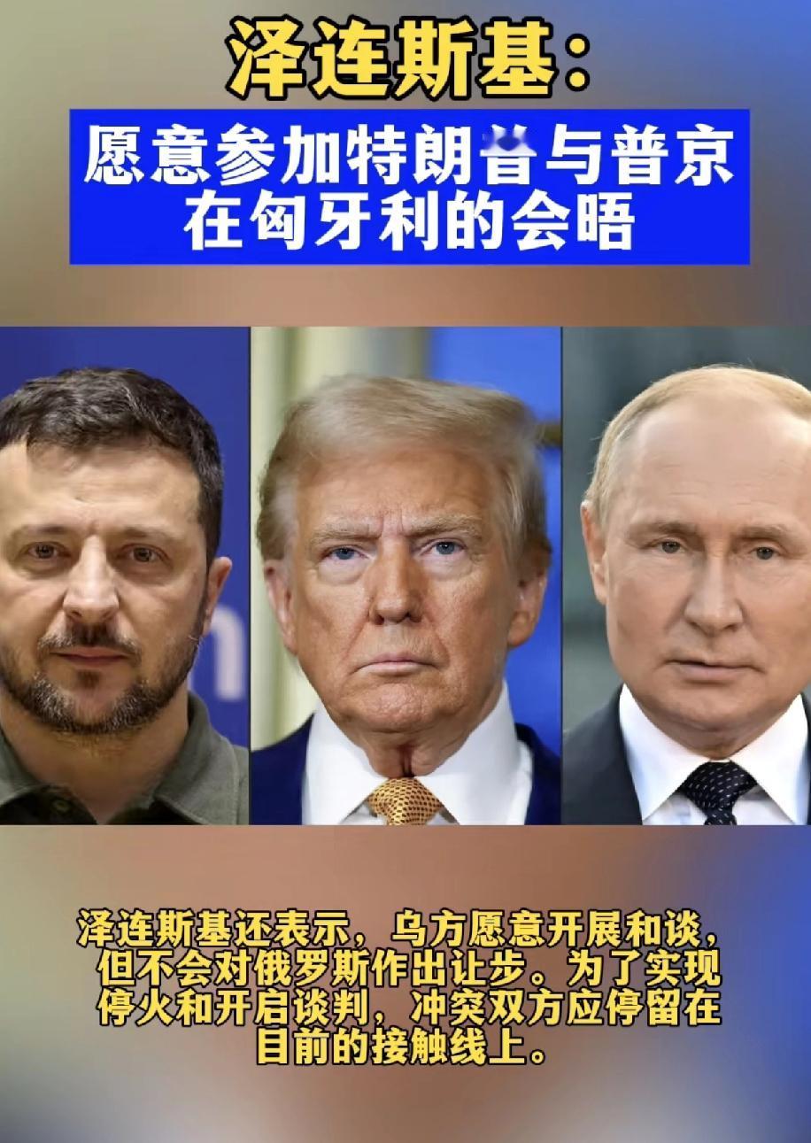 如果有条件，要阻止特朗普在匈牙利组织的俄罗斯和乌克兰以及老美的会晤，还是希望泽连