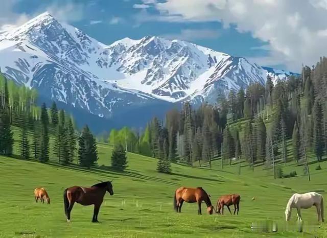 最近刷到新疆陆续发布山区禁止露营、禁止徒步的通知，网上大家众说纷纭，看法不一。但