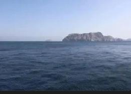 特朗普又来“极限施压”了！
特朗普又放话要击沉所有在霍尔木兹海峡布雷的船只，还把