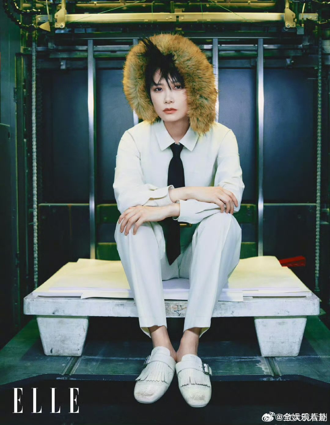 浪姐摇来了整个娱乐圈打 call 团一出来我直接惊了，这阵容真的是摇来了大半个娱