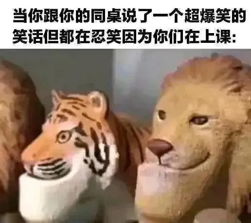 此时如果互相看一眼的话… ​​​