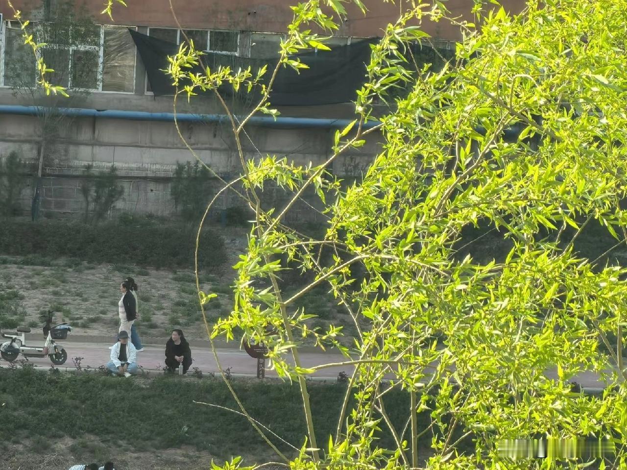 你发现了吗？婆婆最傻的行为就是死钻牛角尖。
很多时候，儿媳妇不是看不起你这个人，