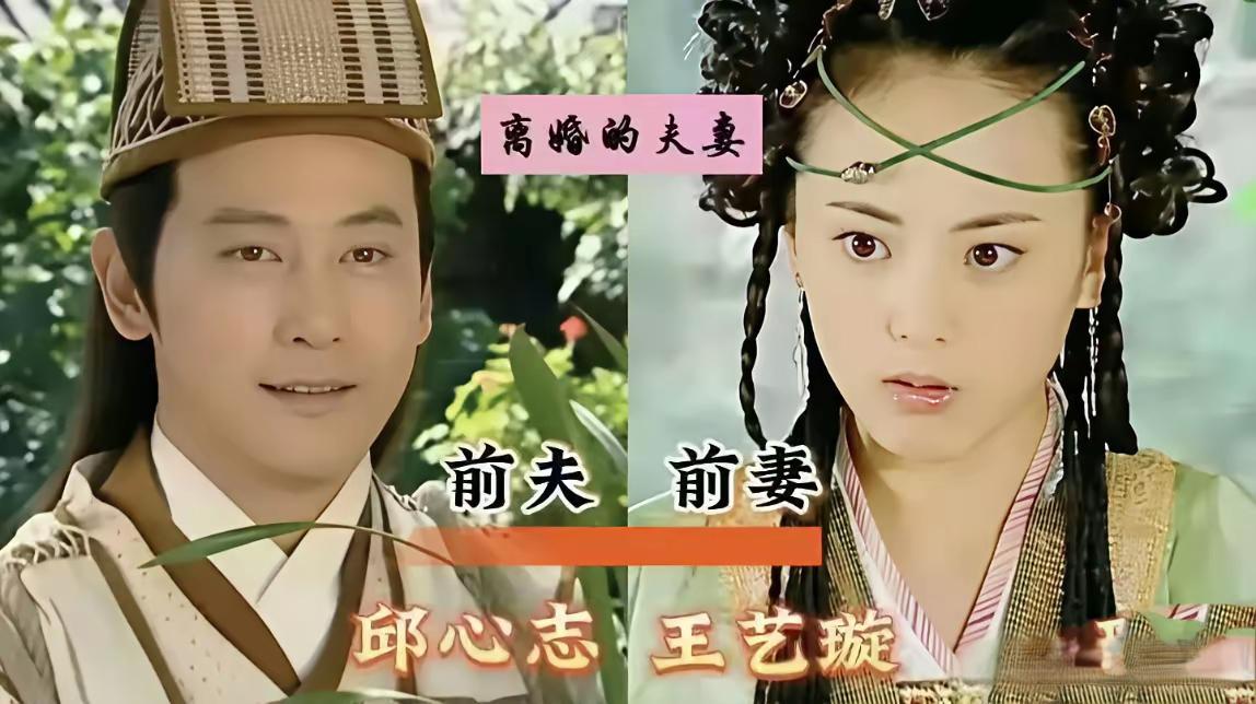 邱心志王艺璇：从玉米定情到绯闻散场，七年婚姻终成过往
 
2003年《花姑子》剧