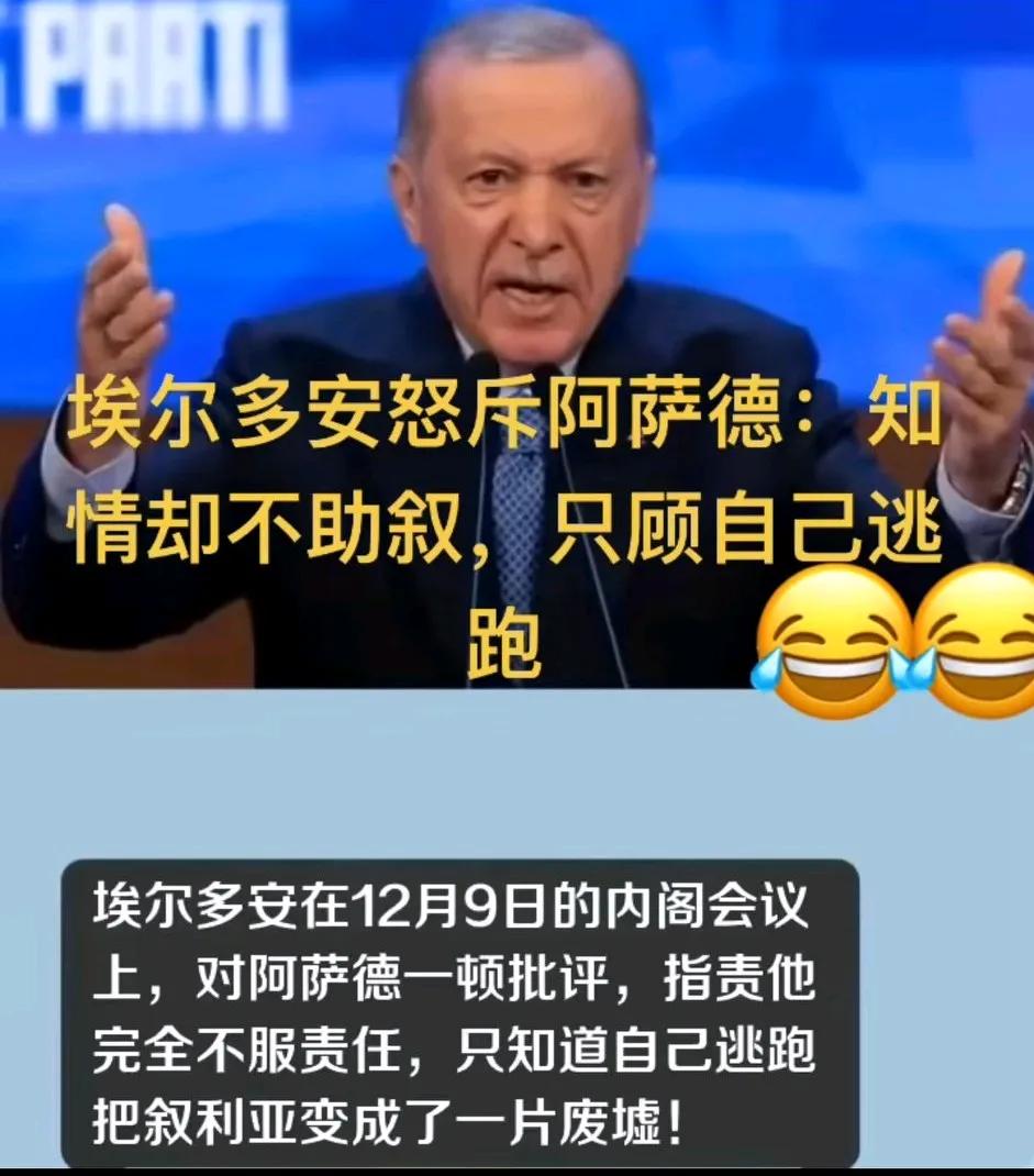 埃尔多安内阁会议上，对阿莎德一顿批评指责他完全不负责任，只知道逃跑把叙利亚变成一