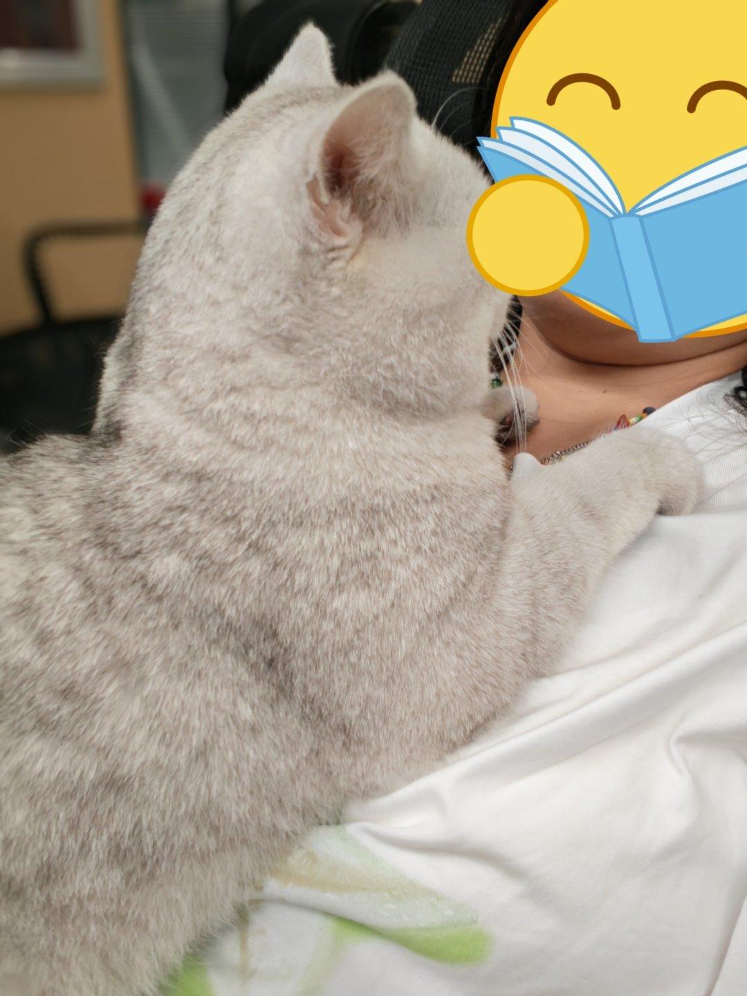 当我好好上班的时候同事就这样骚扰我 