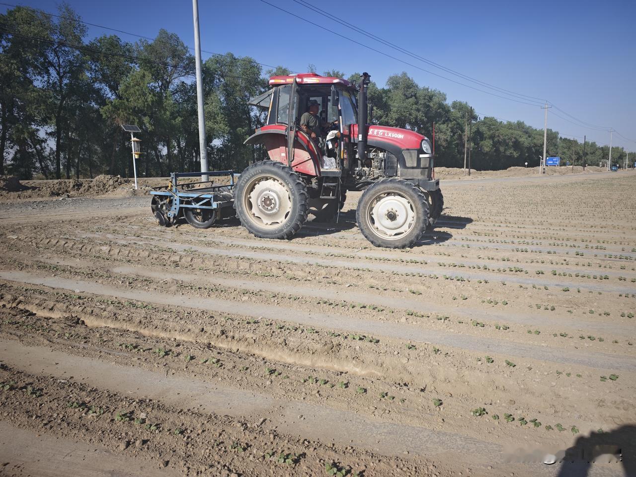 春日生活打卡季 春日是田间劳作的好时节，处处都充满希望。初春虽残留冬色，但仲春一