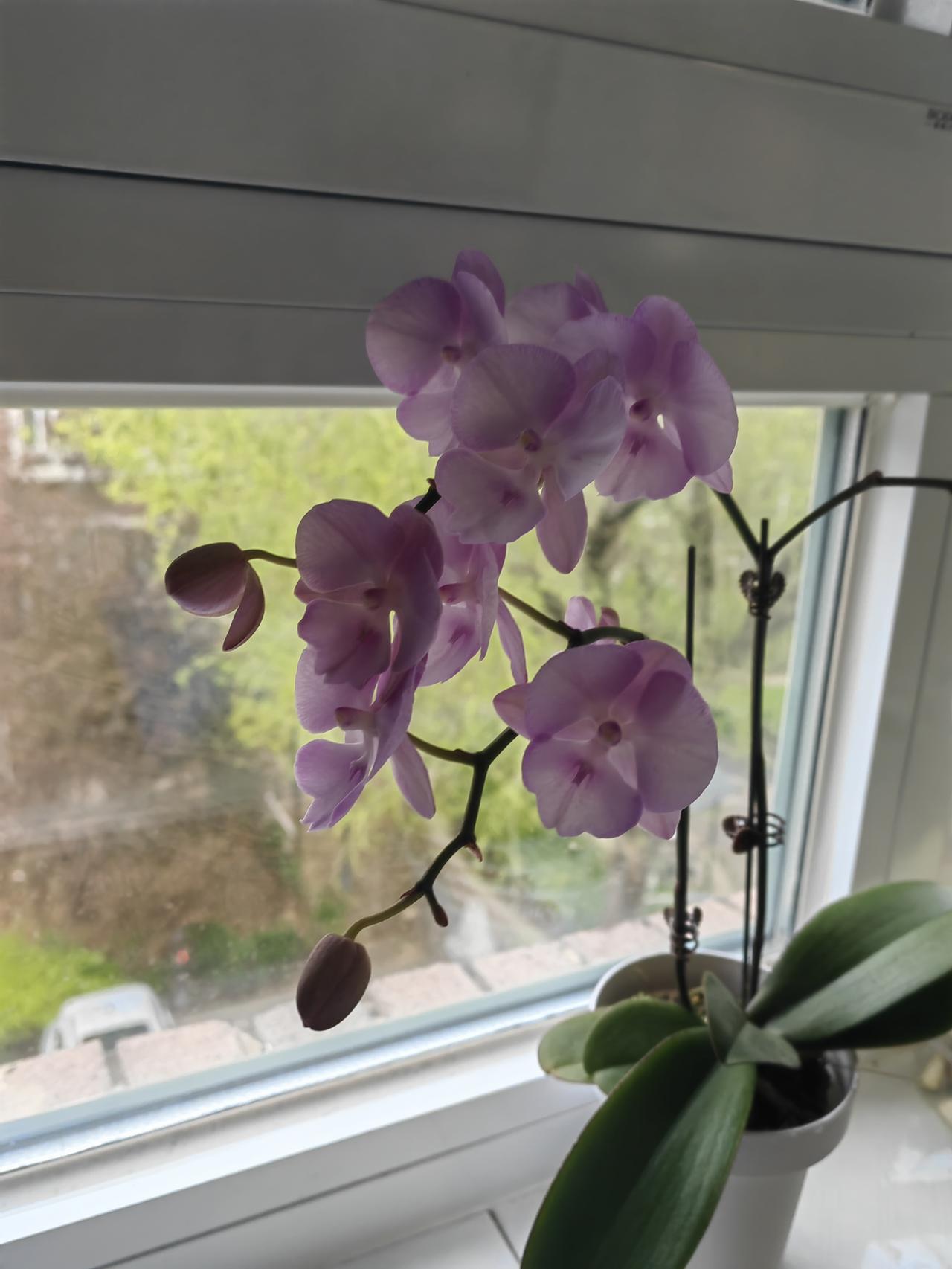 今天忽然感觉有点委屈。看似不是多大的事，结果我却联想了到过往的委屈事。

起因只