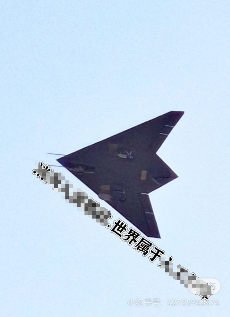 有钩的飞翼，图源见水印。 ​​​