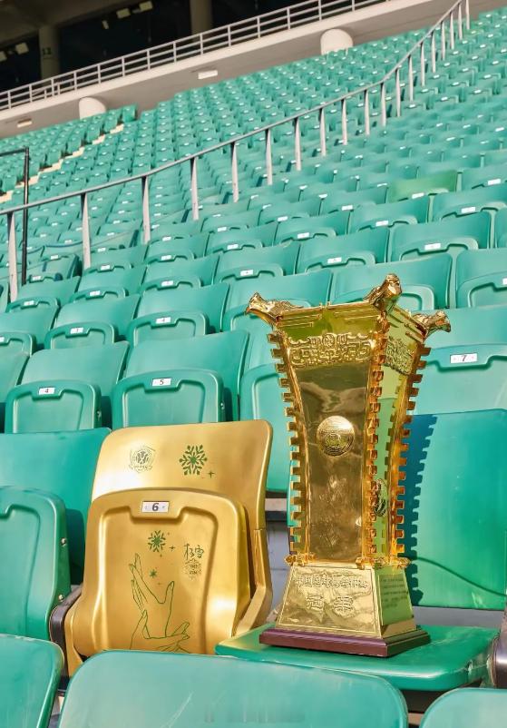 国安这个赛季有低谷有高光，捧回了足协杯冠军，使得跌宕起伏的赛季圆满收尾。无论奔赴