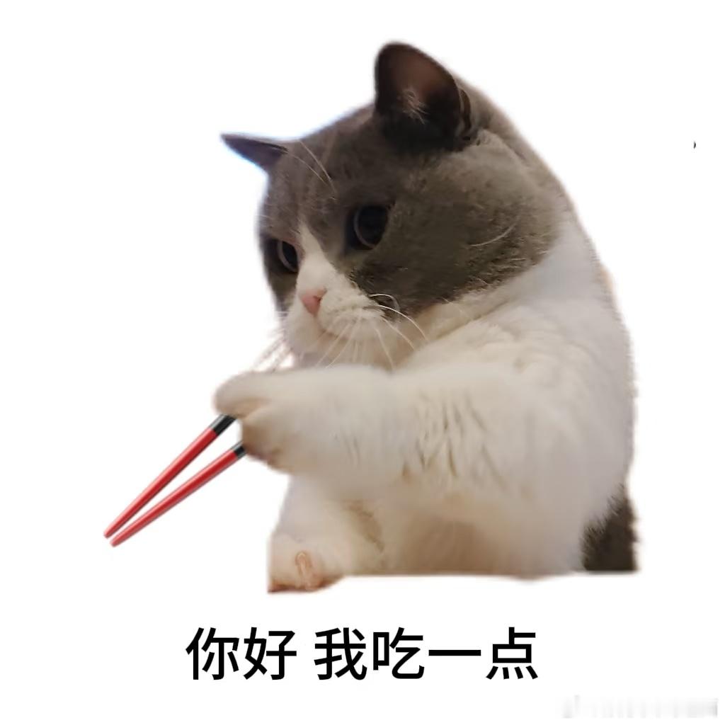 宝宝们贵阳、厦门有啥好吃的呀？ 