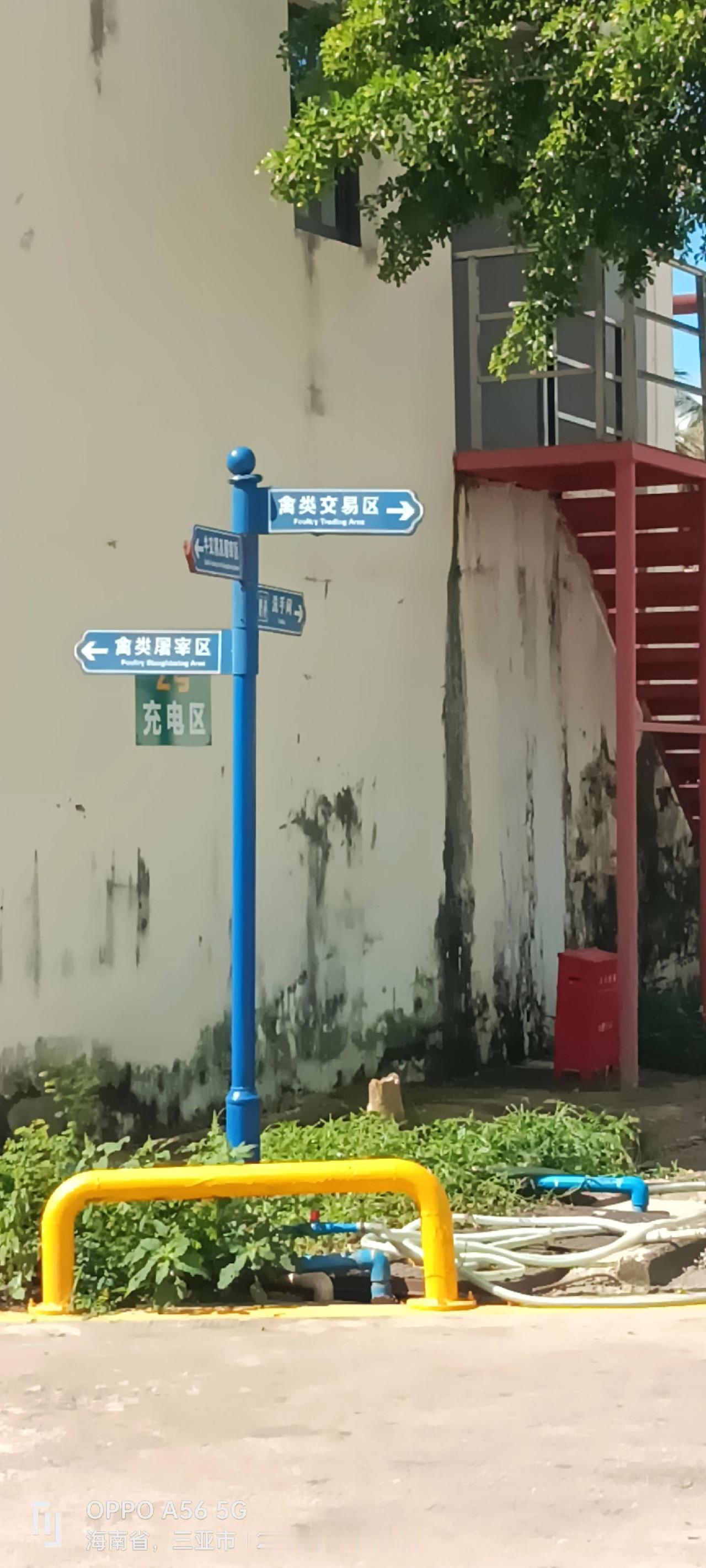 在这里遇见中国美 我的足迹地图 真实分享生活计划