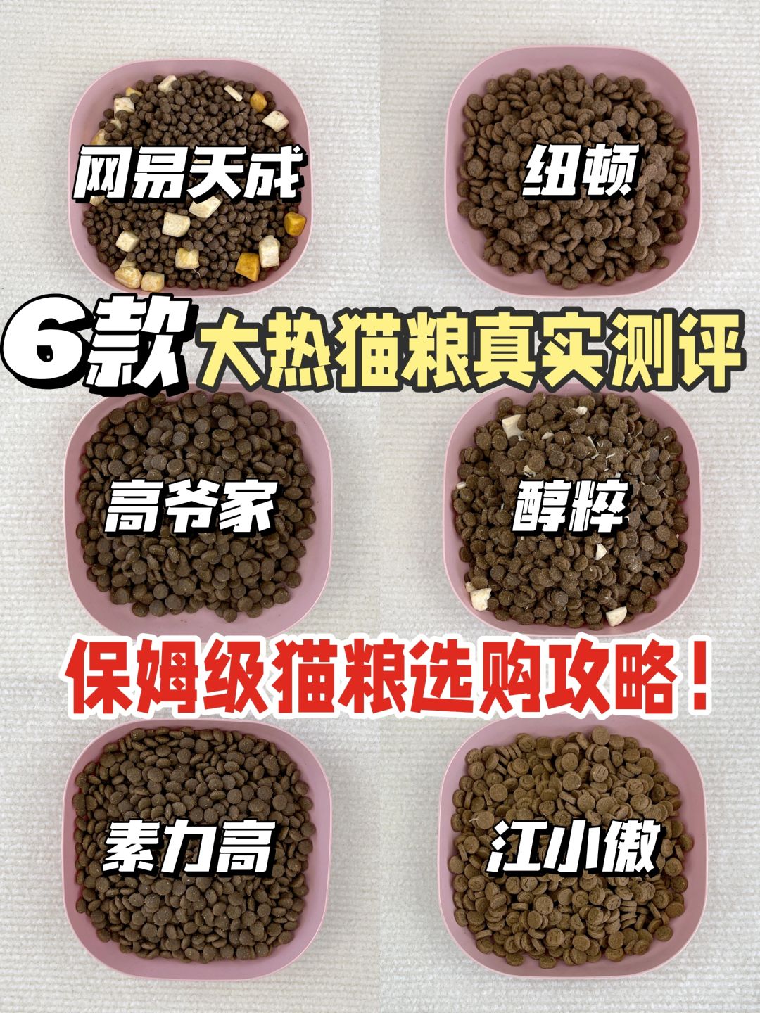 保姆级猫粮选购攻略！1分钟教你选到心仪粮