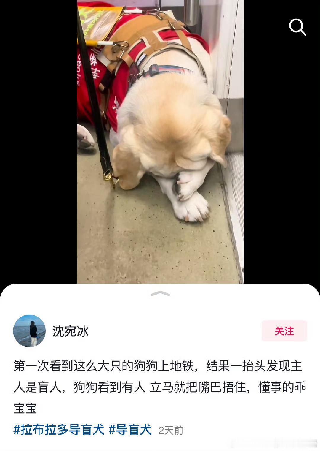 烫狗的是什么东西？ 