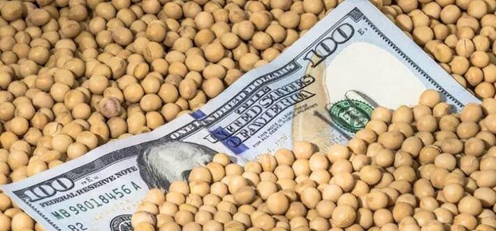 美国这大豆生意算是栽了！眼下正值丰收季，美国豆农却只能对着堆积如山的豆子发愁，在