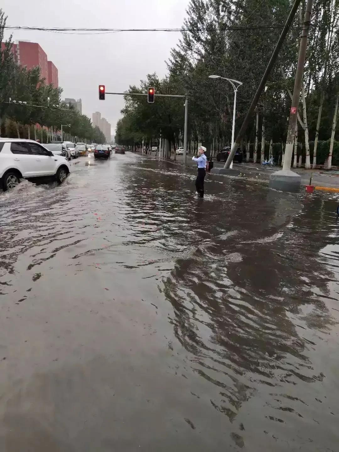 十年九不遇啊！！！
上面这句话形容今年鄂尔多斯的降雨情况真是太贴切了。
更绝的是