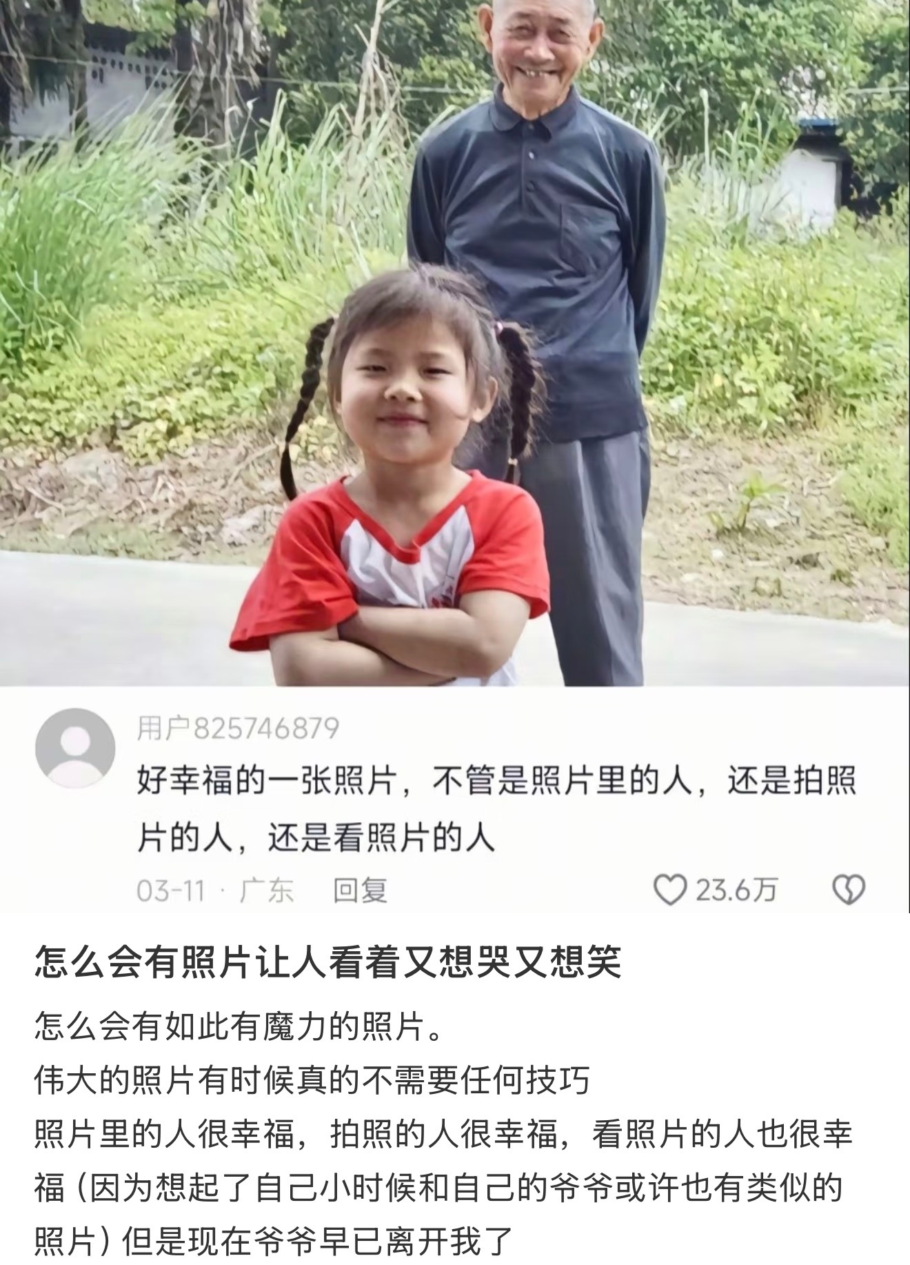 怎么会有照片让人又想哭又想笑 