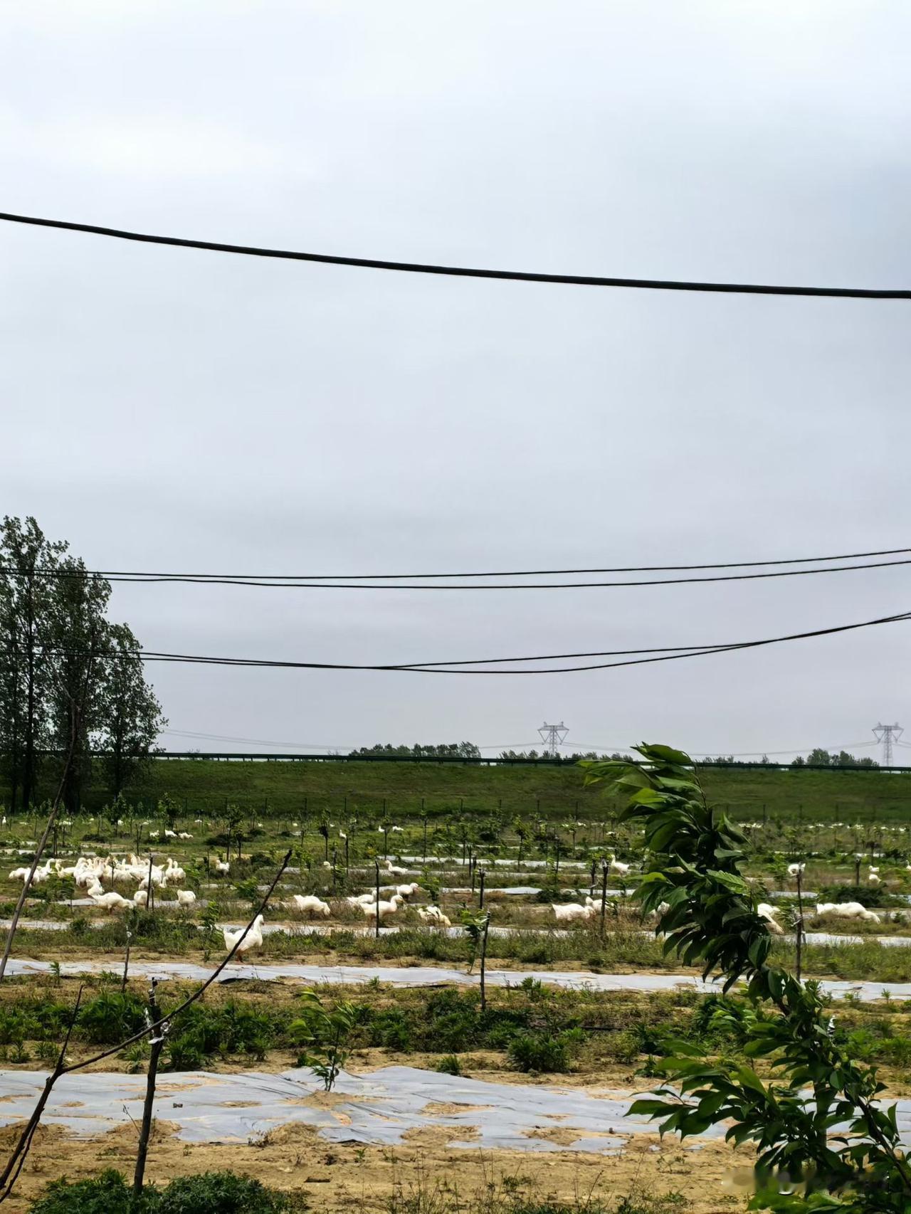 这两年经济环境不好。很多人很难，特别是80后和90后，就像那句话说的，只有退潮了