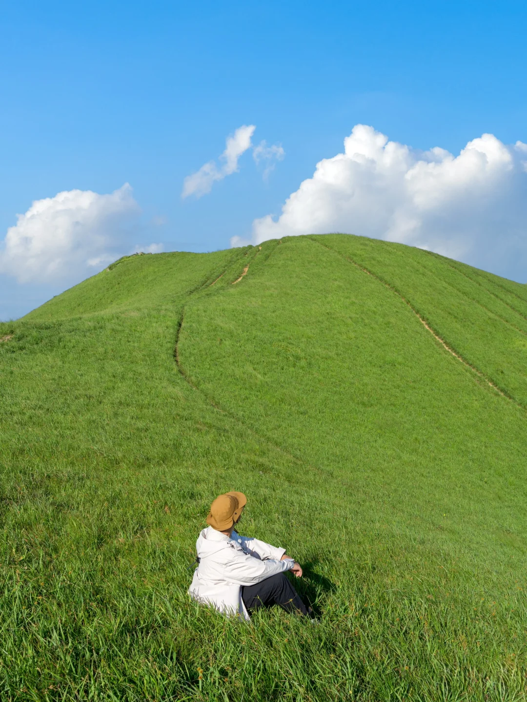 深圳40分钟直达的山顶草原，美哭了😭
