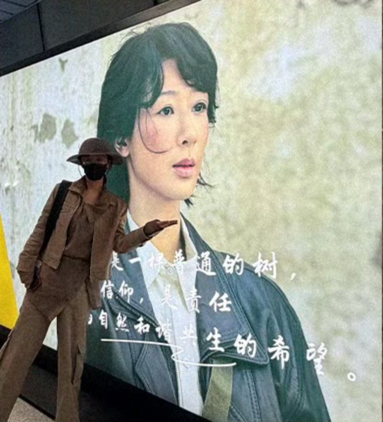 杨紫 好像整个青海都在等白菊回家