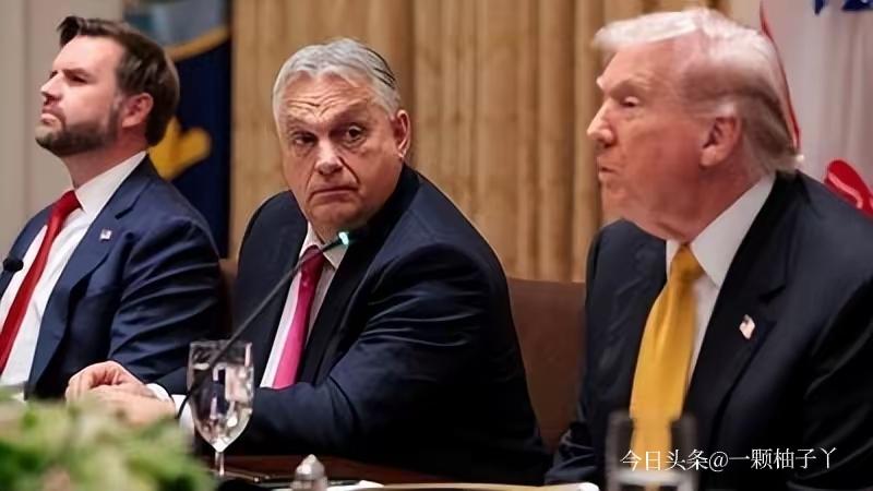 匈牙利大选临近，现任总理欧尔班的支持率落后对手不少，选情看着有点紧张。美国副总统