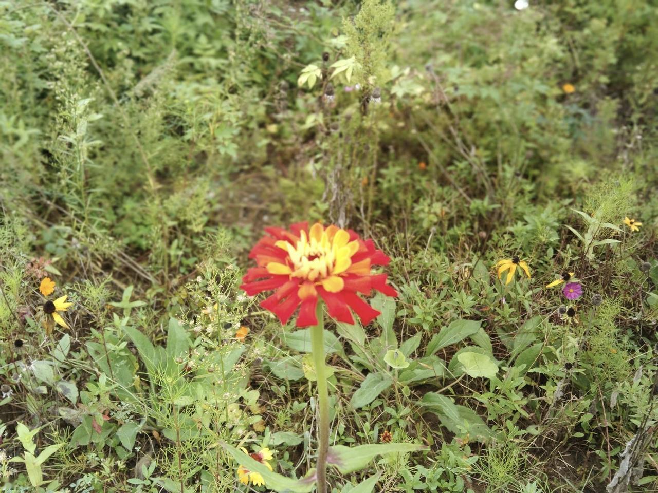 新年爱好打卡今年的年货基本上都备齐了，其实啊，主要就是走亲戚的。孩子已经不愿意走