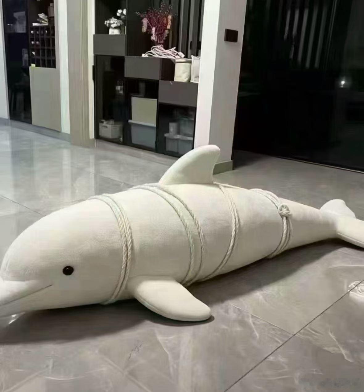 已经把海豚制服了，不知道是否管用。台风白海豚致浙江临海内涝