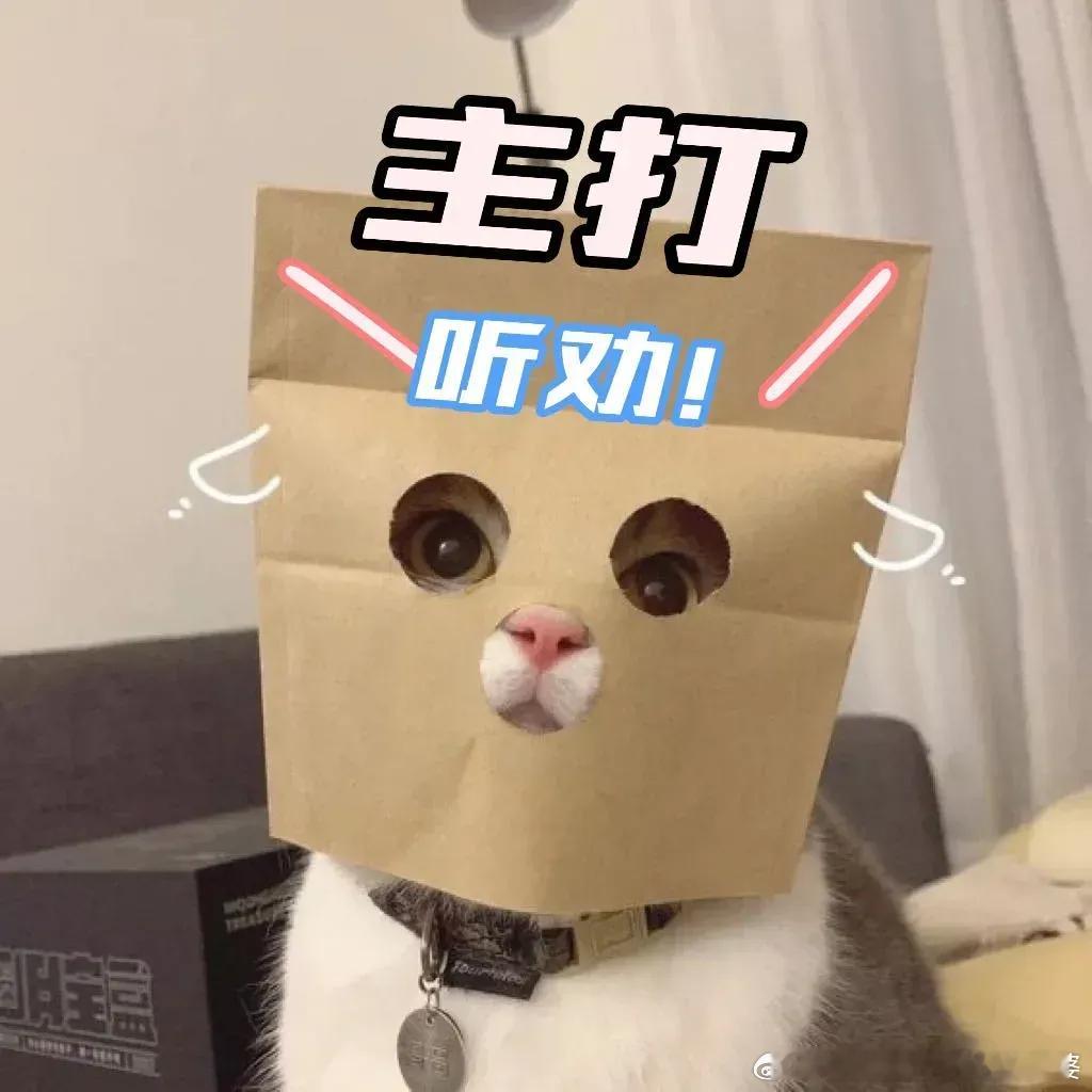 雷军不建议有司机的大老板买小米主打一个听劝，我不买了 