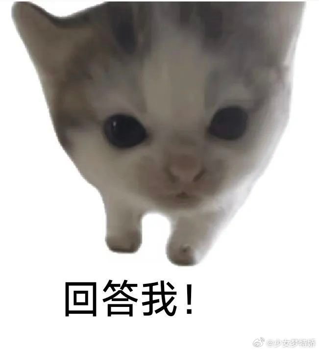 遭老人撞击后反击男子获刑7个月坏人变老了啊，那这种情况怎么办，难道就只让这个老人