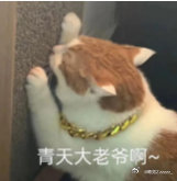 田曦薇青天大老爷这次来真的了青天大老爷又来了，田曦薇这选剧眼光绝了，这次真的被这