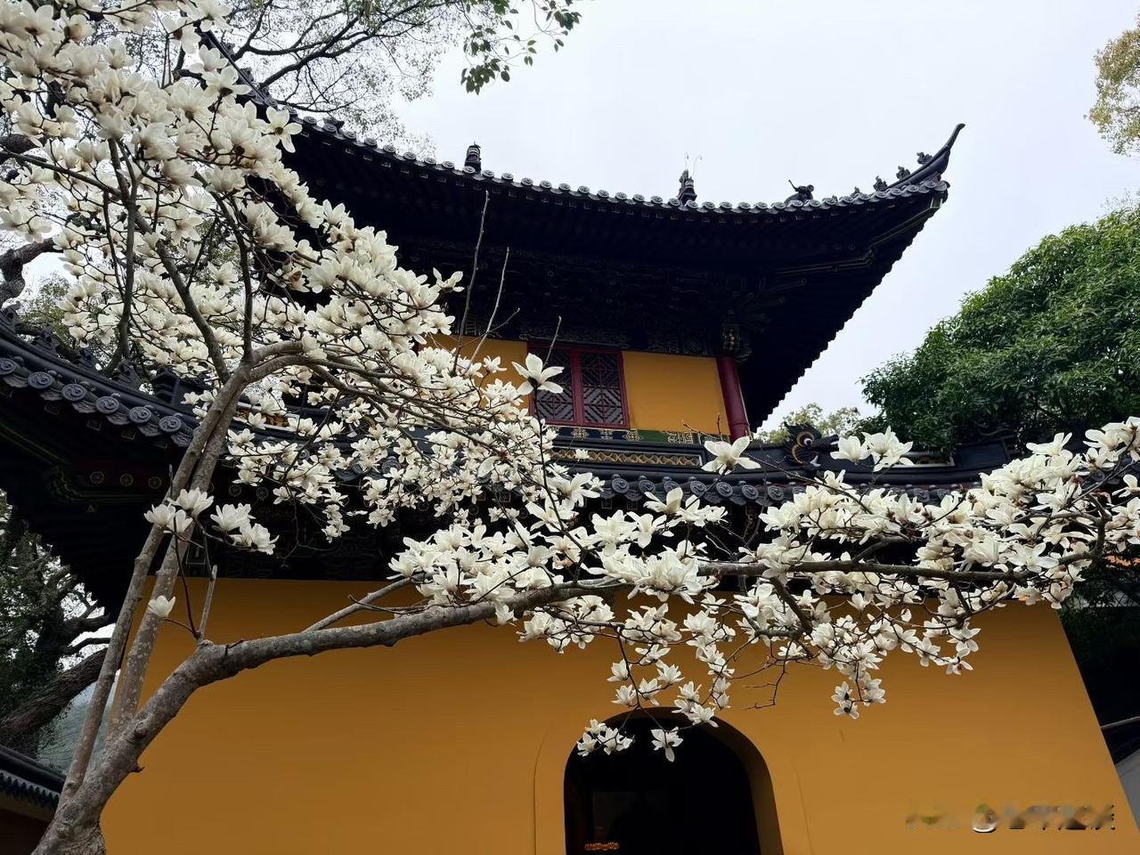 为什么很多子女年轻的时候对父母特别好，可是人到中年却对父母越来越冷漠，越来越疏远
