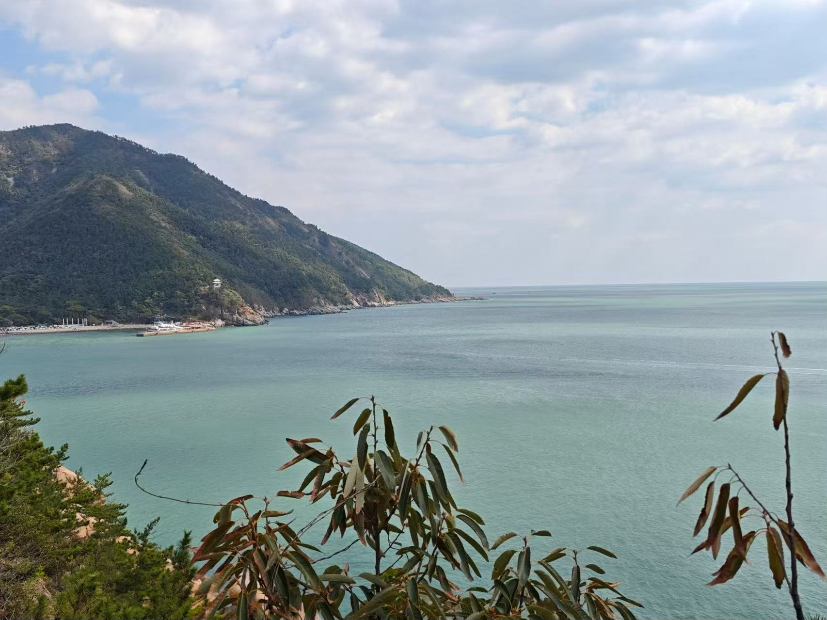 终于来青岛打卡了！白天吹着海风走在海边栈道，海水透亮得像游戏里的高清贴图，远处的