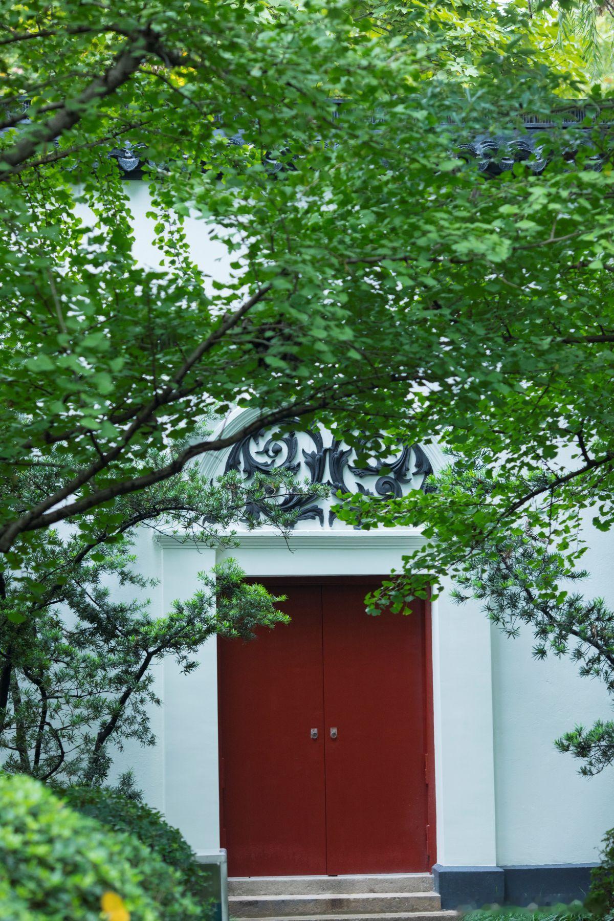 创业十年，我才看清“投资、投机、赌博”的真相！在创投圈摸爬滚打多年，发现很多创始