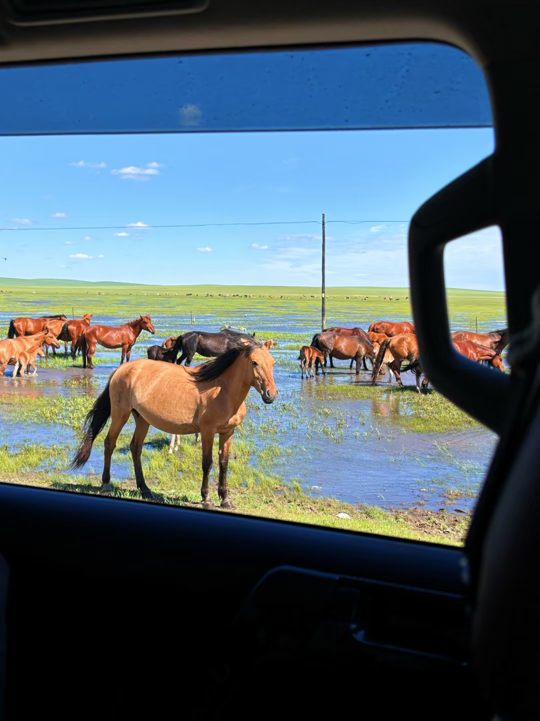 呼伦贝尔旅行第一天就这么美😭后面该怎么办