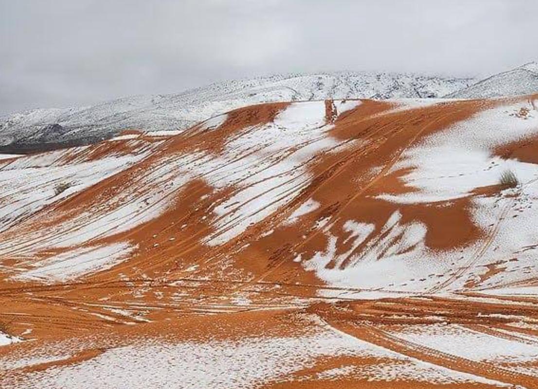 【罕见现象：撒哈拉沙漠下雪了 由于降雪，阿尔及利亚的橙色沙丘变成了白色，艾因塞夫